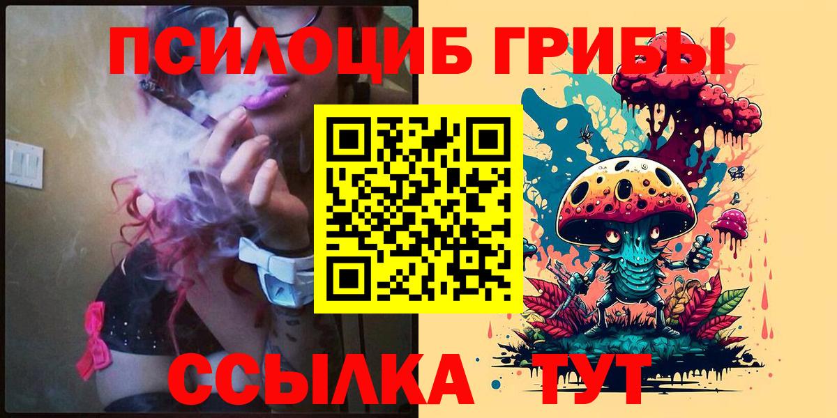 Кисловодск  Псилоцибиновые грибы мухоморы  Вход с VPN 