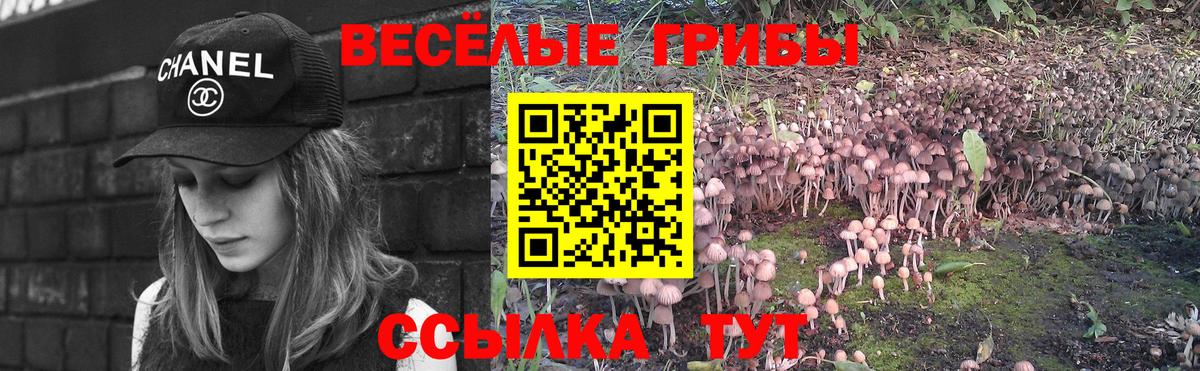 Псилоцибиновые грибы Magic Shrooms Кисловодск